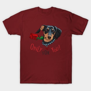 Dog breed Dachshund with red flower T-Shirt